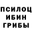 Псилоцибиновые грибы Psilocybe L Barne