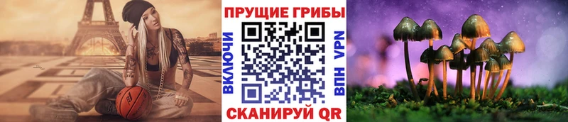 mega как войти  купить наркотики цена  Балей  Галлюциногенные грибы MAGIC MUSHROOMS 